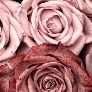 Meet your Posher, Eliane